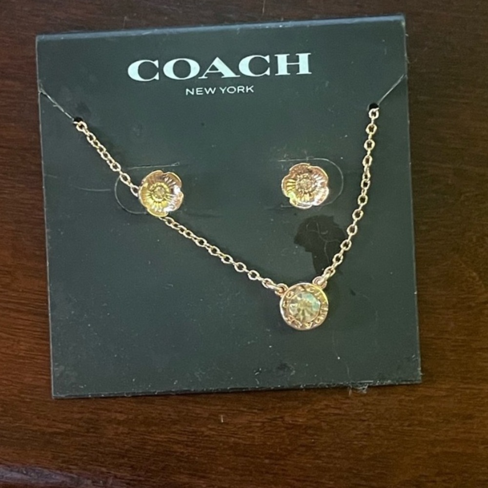 Coach reserved for seller M Dalton necklace only